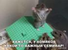 Прикрепленное изображение: 1575464483.jpg