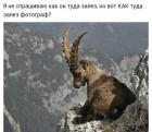 Прикрепленное изображение: 1576874776.jpg