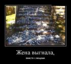 Прикрепленное изображение: C__Data_Users_DefApps_AppData_INTERNETEXPLORER_Temp_Saved Images_302.jpg