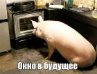 Прикрепленное изображение: 9njIp1oNAPQ.jpg
