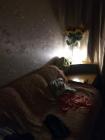Прикрепленное изображение: IMG_20191128_234450.jpg