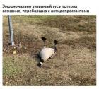 Прикрепленное изображение: tT7KJriNroM.jpg
