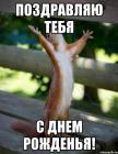 Прикрепленное изображение: belka_41178014_orig_.jpg