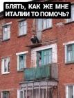 Прикрепленное изображение: 98311881_2691861450789948_5912944396360306288_n.jpg