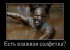 Прикрепленное изображение: Есть влажная салфетка.jpg