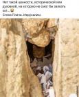 Прикрепленное изображение: 268250345_320832336709885_1124687259705479077_n.jpg