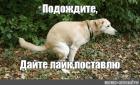 Прикрепленное изображение: 265079553_3092123647726589_6151820469783884577_n.jpg