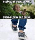 Прикрепленное изображение: 269715097_1289184081554296_2217464004130629011_n.jpg
