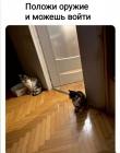 Прикрепленное изображение: 1639579165.jpg