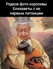 Прикрепленное изображение: 1638371345.jpg