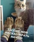 Прикрепленное изображение: 1639556401.jpg