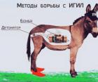 Прикрепленное изображение: 0FDADD70-A379-4956-82A3-9C72D4ACD095.jpeg