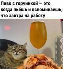 Прикрепленное изображение: Пиво с горчинкой.jpg