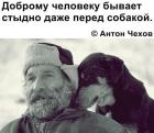 Прикрепленное изображение: Доброму человеку стыдно перед собакой.jpg