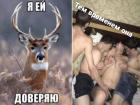 Прикрепленное изображение: 7C_8YlTgi20bwGsDKfz76eVx6rHpqeIVJTK1-wPSqX6HDALnRozTmW44shLX7lwOPZ0q.jpg