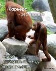 Прикрепленное изображение: 1669971332.jpg