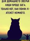 Прикрепленное изображение: 1701290430.jpg