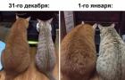 Прикрепленное изображение: 1703948897.jpg