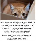 Прикрепленное изображение: 1702838232.jpg