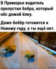 Прикрепленное изображение: 1701679318.jpg