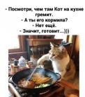 Прикрепленное изображение: 1733001101.jpg