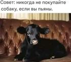 Прикрепленное изображение: 470628321_3418001898334764_561455850530366932_n.jpg