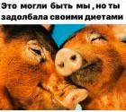 Прикрепленное изображение: 470694069_3462717264036838_5189246841423631300_n.jpg
