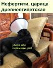 Прикрепленное изображение: 471156622_3464437240531507_1176732434813226037_n.jpg