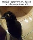 Прикрепленное изображение: 470652818_1009591904264683_517501703201405979_n.jpg