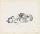 Прикрепленное изображение: 1024px-Domestic_cat_sleeping_with_three_kittens_resting_LCCN2012645539.jpg