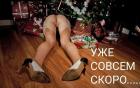 Прикрепленное изображение: IMG-20241231-WA0074.jpg