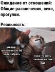 Прикрепленное изображение: Посылочку на ВБ забрать.jpg