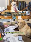 Прикрепленное изображение: 1765269542.jpg