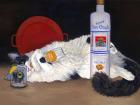 Прикрепленное изображение: catatonic-karen-zuk-rosenblatt.jpg