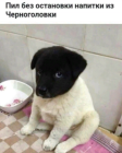 Прикрепленное изображение: Screenshot (36).png