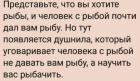 Прикрепленное изображение: IMG_20251225_161407_755.jpg