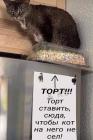 Прикрепленное изображение: Торт ставить сюда.jpg