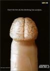 Прикрепленное изображение: McCann_Brain.jpg