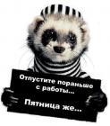 Прикрепленное изображение: 1piat.jpg