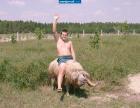 Прикрепленное изображение: гыы.jpeg